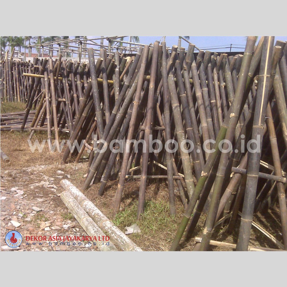 Black Bamboo Poles for Bamboo Fences and Bamboo Panels - Image 2