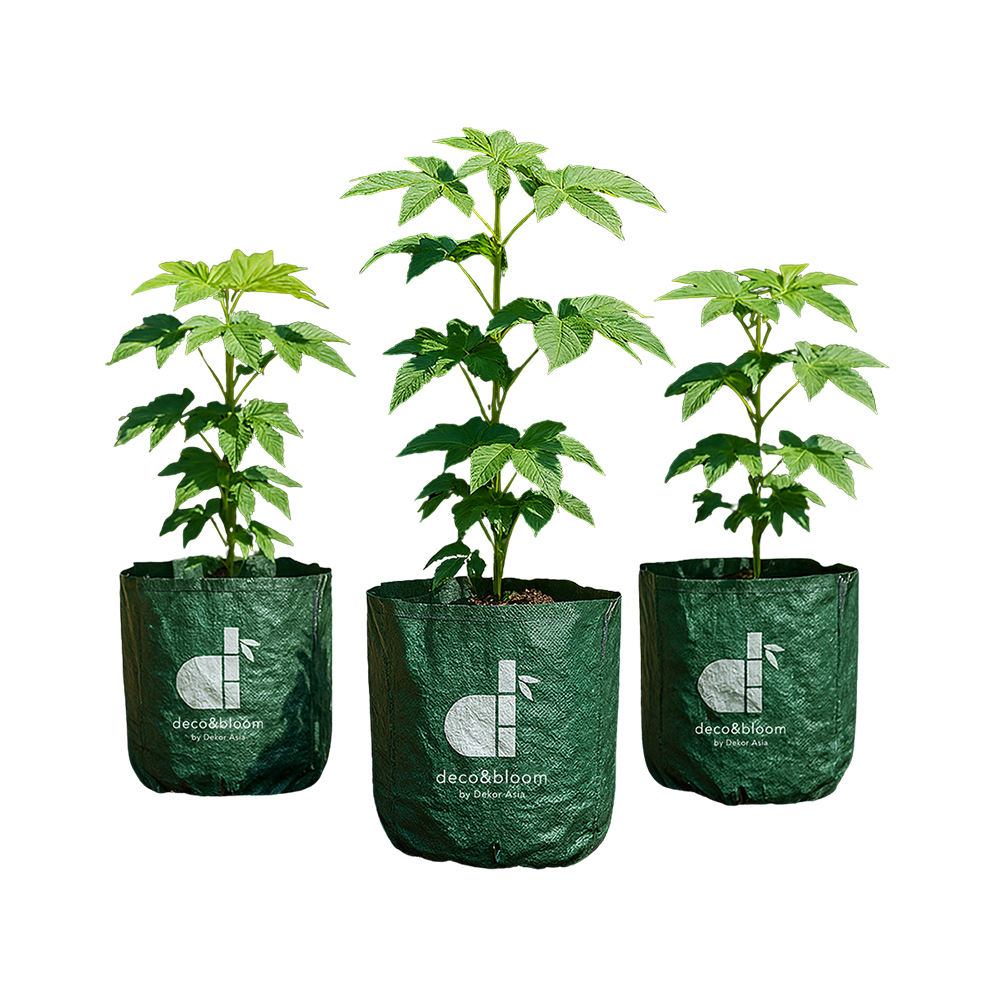 Planter Bag Reusable Planting Bags – Perfect for Vegetables, Herbs & Flowers, Washable and reusable, great for seasonal crops - no handle - D 15 x 18 cm - PB3