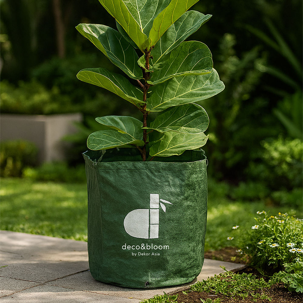 Planter Bag Portable Fabric Grow Bags for Outdoor Vegetable Gardens, Convenient to carry, even when filled with soil - no handle - D 24 x 25 cm - PB7 - Image 5