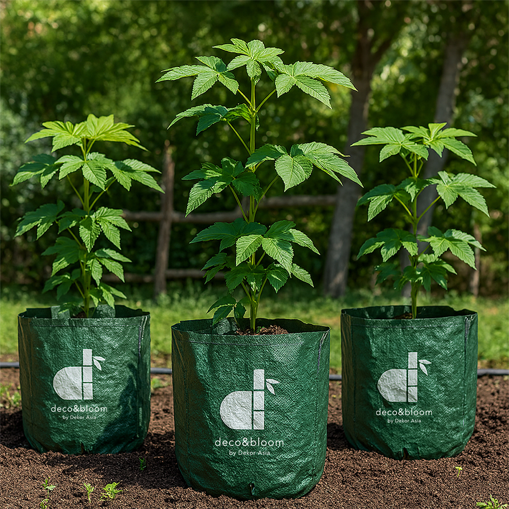 Planter Bag Large Capacity Plant Grow Bags for Backyard or Balcony, Holds more soil for deep-rooted vegetables and flowers - no handle - D 23 x 25 cm - PB5 - Image 4